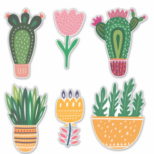 Cactus Flowers Cute