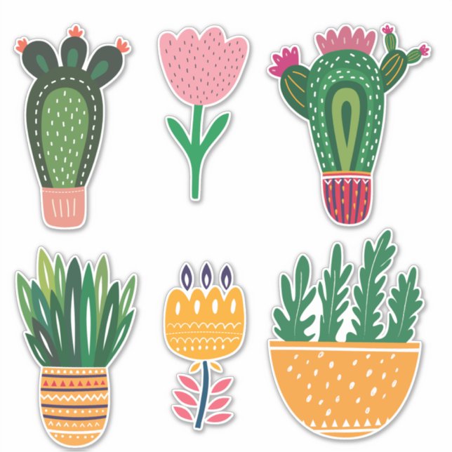Cactus Flowers Cute (Front)