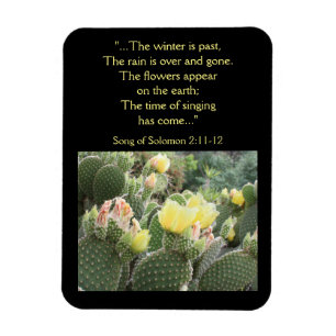 Cactus Flowers Song of Solomon Magnet