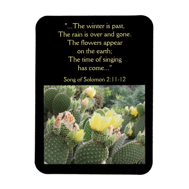 Cactus Flowers Song of Solomon Magnet (Vertical)