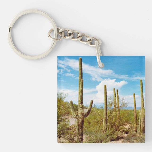 Cactus forest Square (double-sided) Keychain (Front)