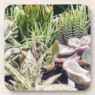Cactus Garden Coaster