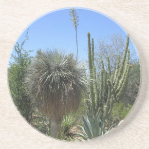 Cactus Garden Coaster