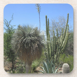 Cactus Garden Coaster