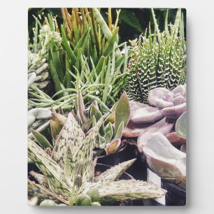 Cactus Garden Plaque