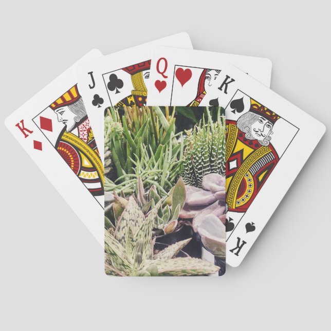 Cactus Garden Playing Cards (Back)
