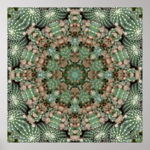 Cactus garden poster