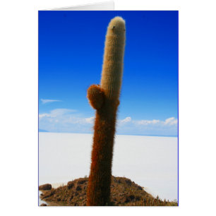 cactus géant