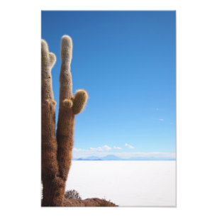 Cactus géant sur l'empreinte photo du Salar de Uyu