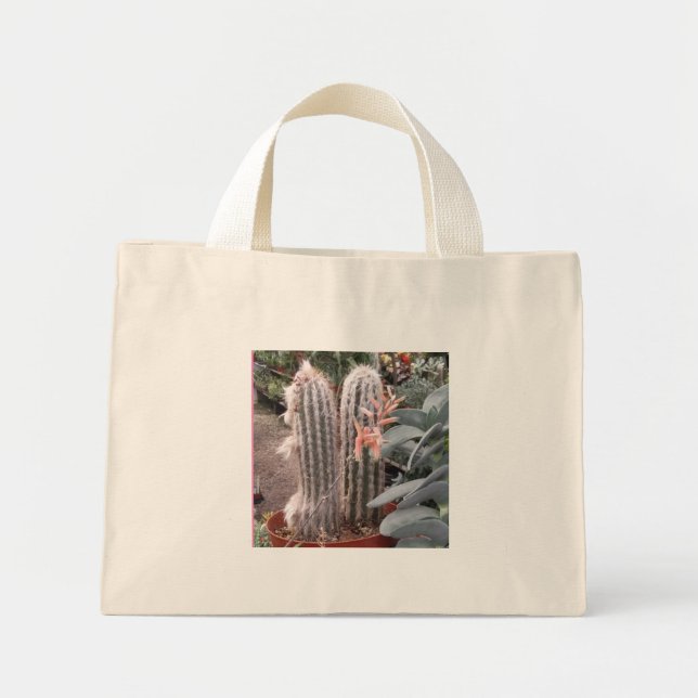 Cactus Gift Bag (Front)