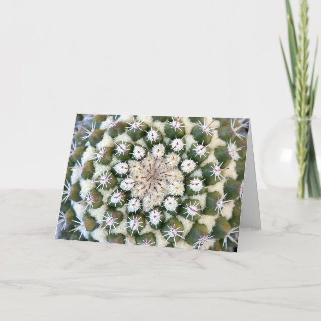 Cactus greeting card by Debra Lee Baldwin (Front)