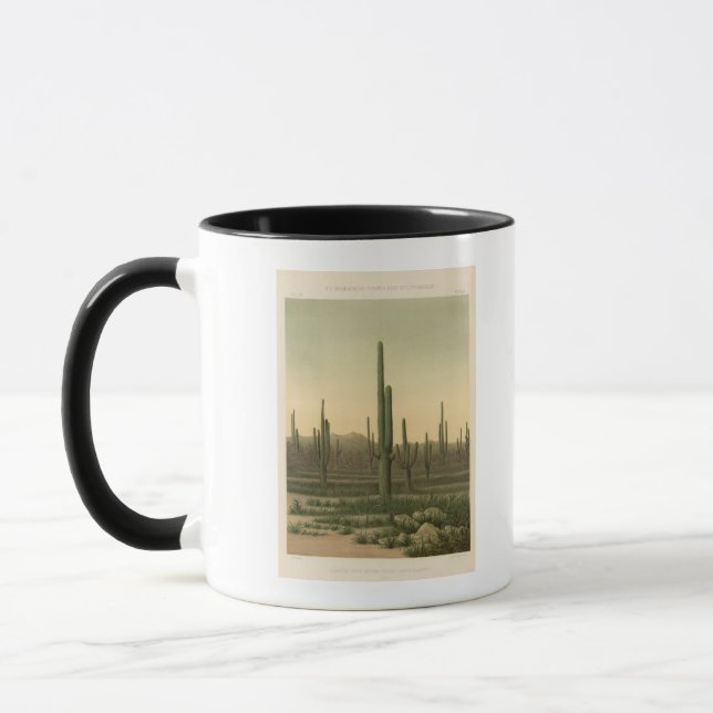 Cactus grove, Arizona Mug (Left)