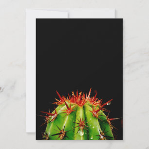 Cactus Holiday Card