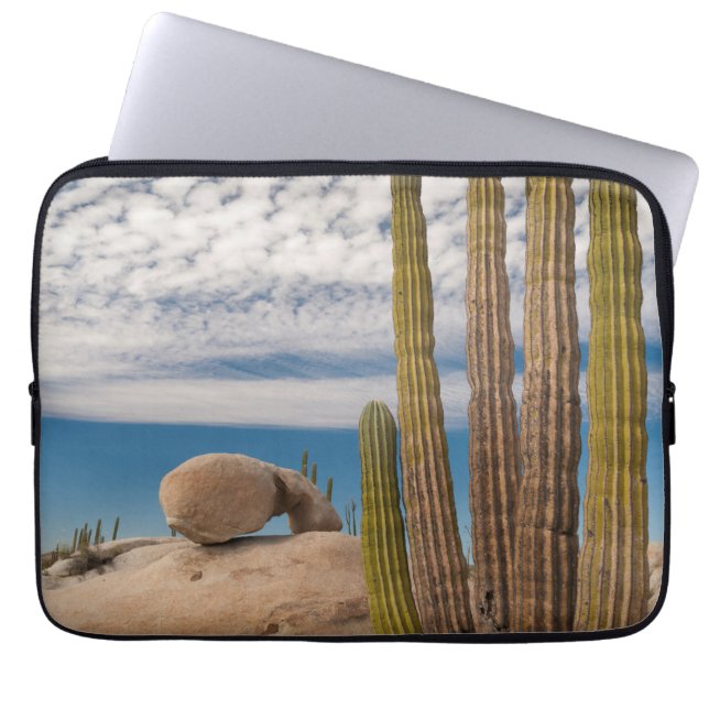 Cactus In Desert Scenic Laptop Sleeve (Front)