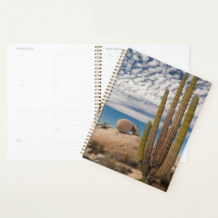 Cactus In Desert Scenic Planner