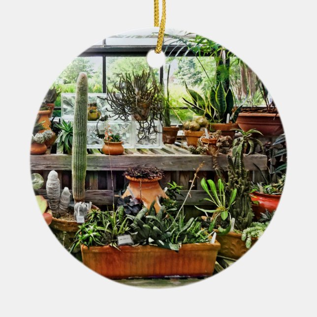 Cactus in Greenhouse Ceramic Ornament (Front)