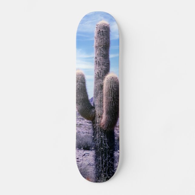 Cactus in Jujuy Province - Northern Argentina Skateboard (Front)
