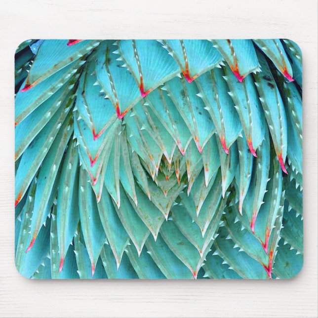 Cactus in Red & Aqua Nature Fine Art Mouse Pad (Front)