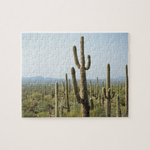 Cactus in Saguaro National Park , Arizona 2 Jigsaw Puzzle