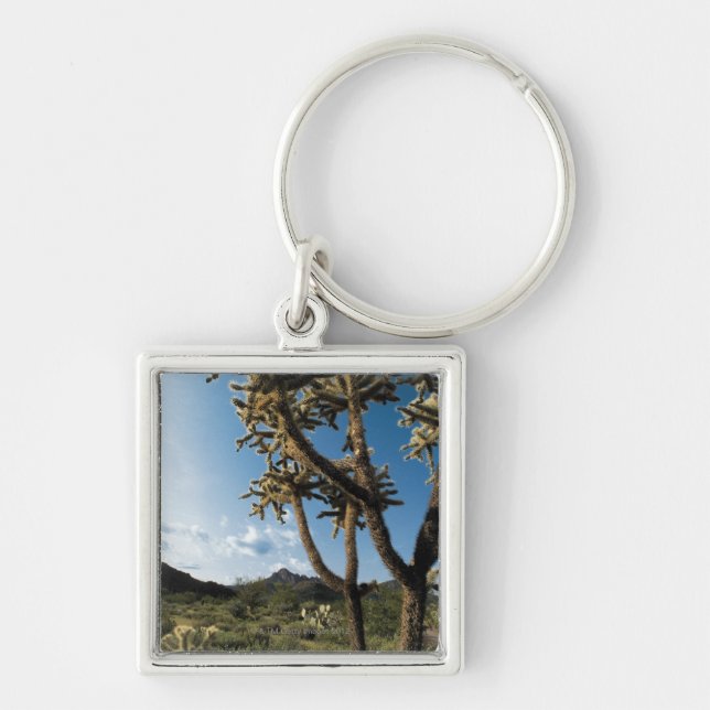 Cactus in Saguaro National Park , Arizona Keychain (Front)