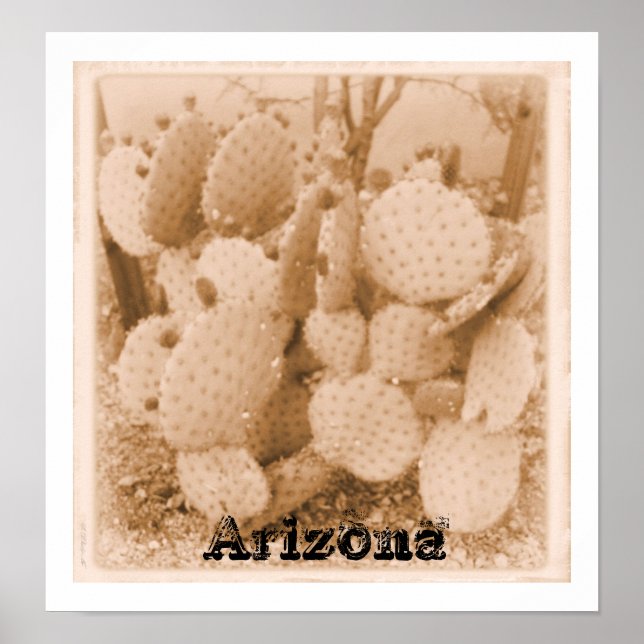 cactus in sepia print (Front)