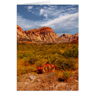 Cactus in the Desert, Southwest, Blank Inside