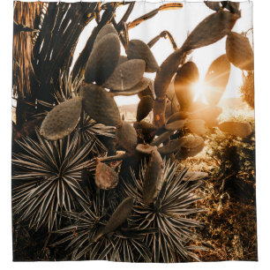 CACTUS IN THE MORNING