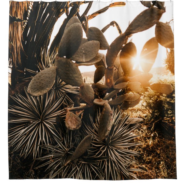 CACTUS IN THE MORNING (Front)