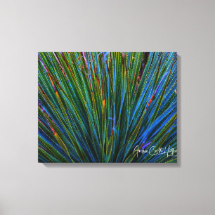 Cactus in Turquoise Canvas Print