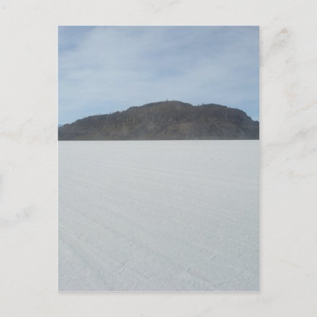 Cactus Island Postcard (Front)