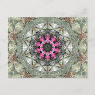 Cactus Kaleidoscope Postcard