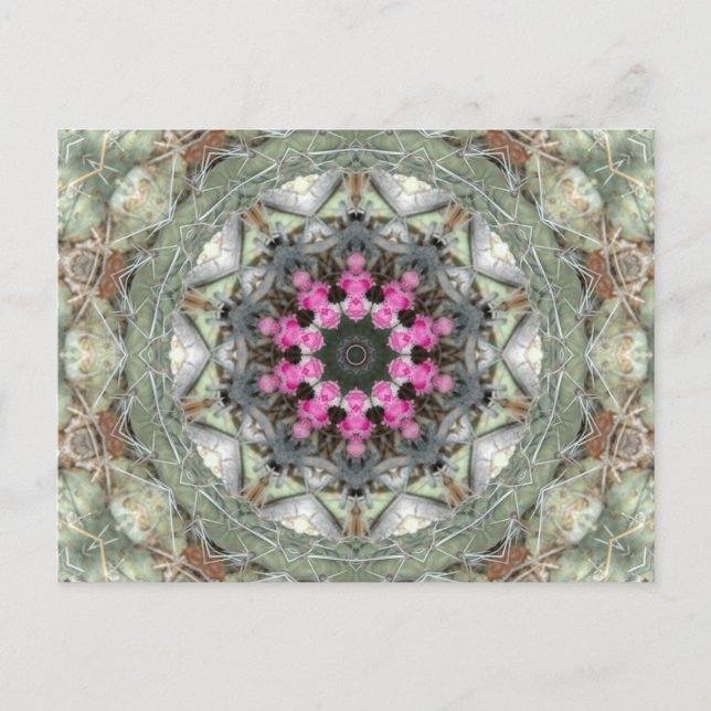 Cactus Kaleidoscope Postcard (Front)