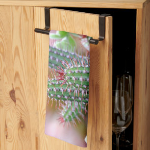 cactus kitchen towel