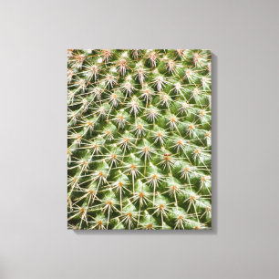 Cactus Macro Photography Canvas Print