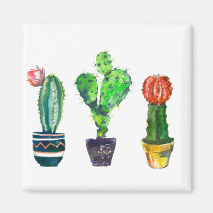 cactus magnet