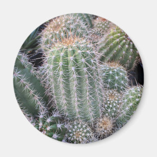 Cactus Magnet