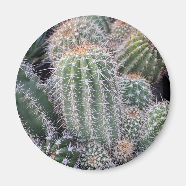 Cactus Magnet (Front)