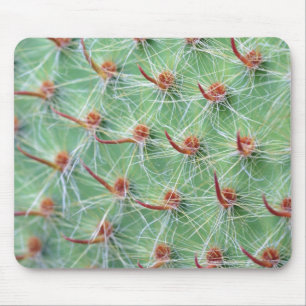 cactus mouse pad