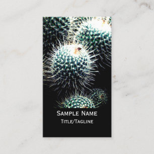 cactus  nature photography custom business card