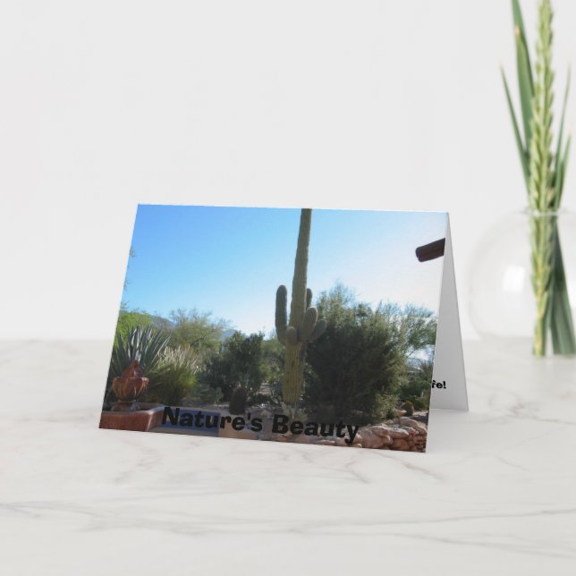 Cactus, Nature's Beauty Card (Front)