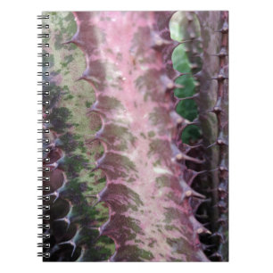 Cactus Notebook