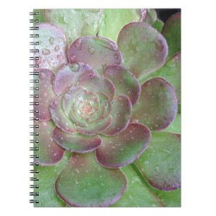 Cactus Notebook