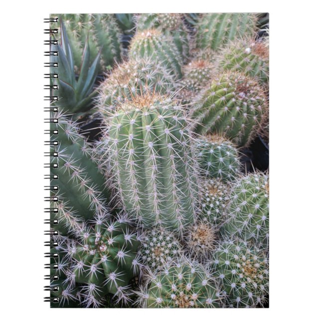 Cactus Notebook (Front)