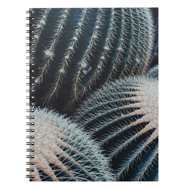 Cactus Notebook (Front)