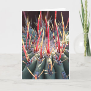 Cactus notecard
