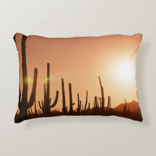 Cactus On Desert Decorative Pillow