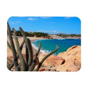 Cactus On Rocky Hilltop Over Sandy Beach Magnet