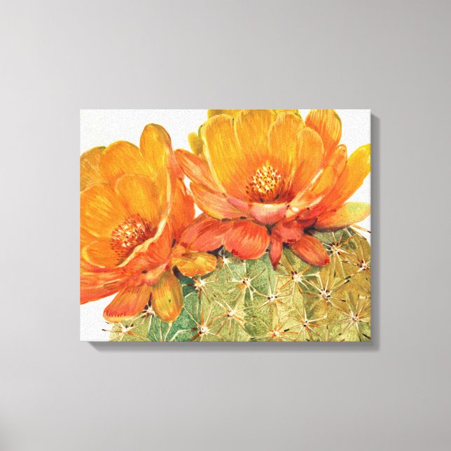 Cactus Orange Blossoms Canvas Print (Front)