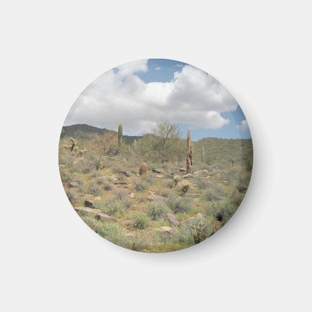 Cactus Pastoral Decorative Refrigerator Magnet (Front)
