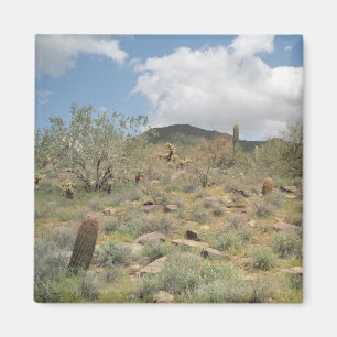 Cactus Pastoral Decorative Refrigerator Magnet